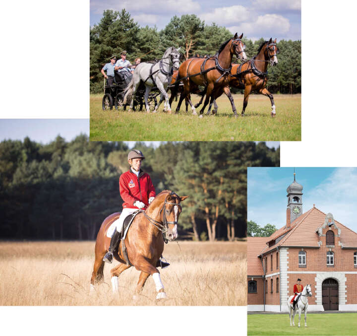 landgestuet celle derby community collage landgestuet celle derby community collage